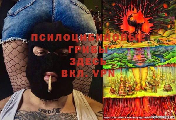 экстази Арсеньев