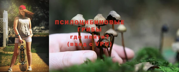 стаф Армянск