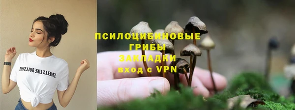 стаф Армянск