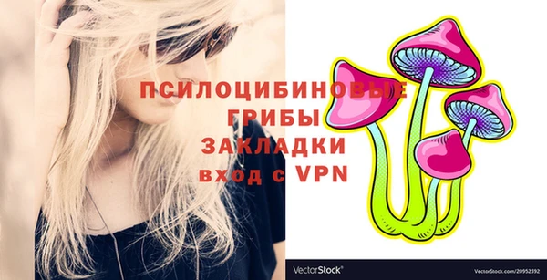 экстази Арсеньев